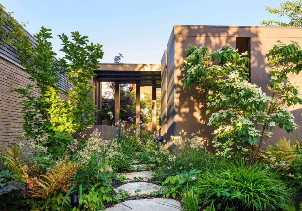stepping stone pathway leading to pergola.