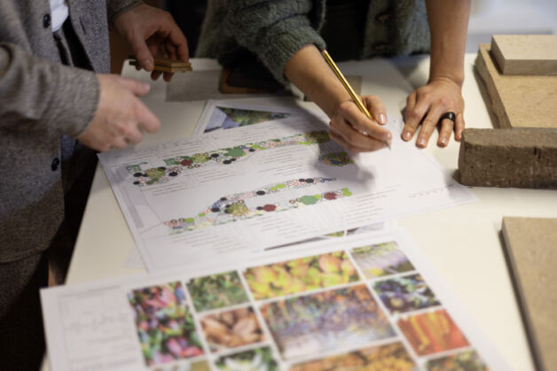 Designers working on planting lists, mood boards and garden design plans