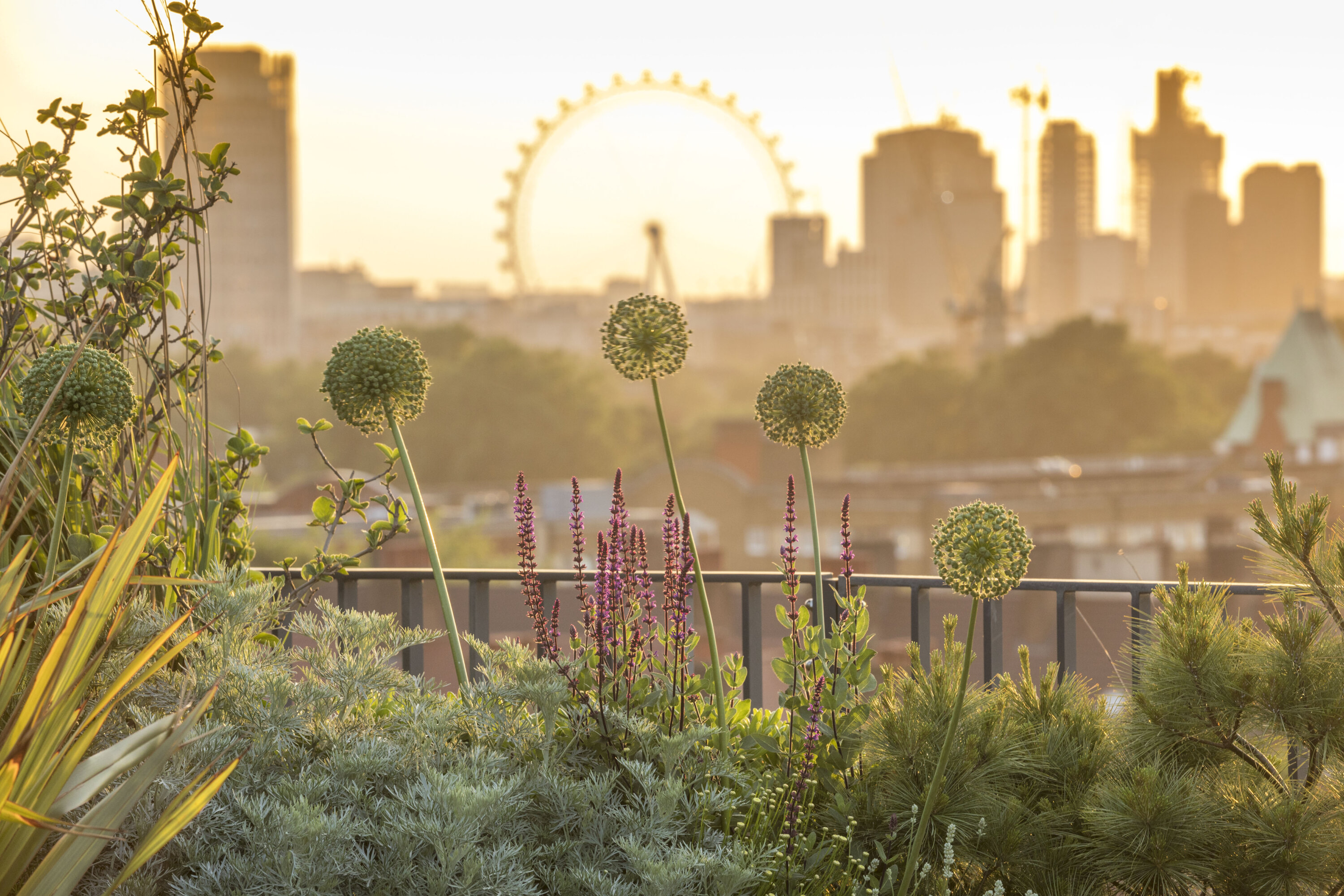 Gardener / Horticulturist