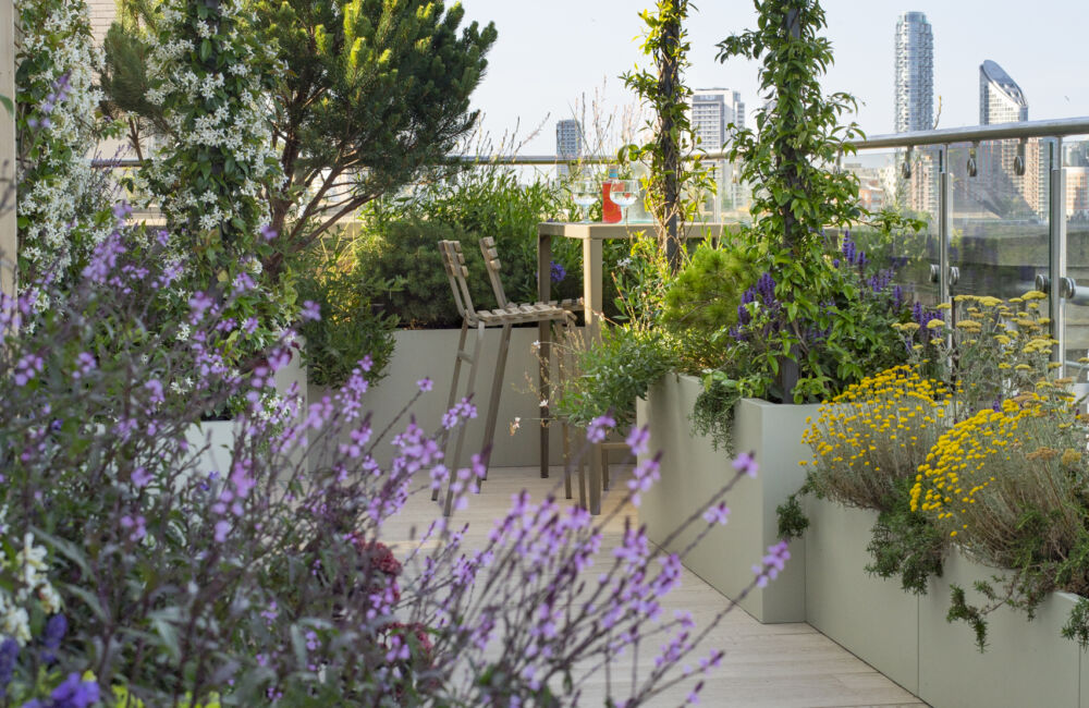 Skyline Sanctuary : A Rooftop Reimagined