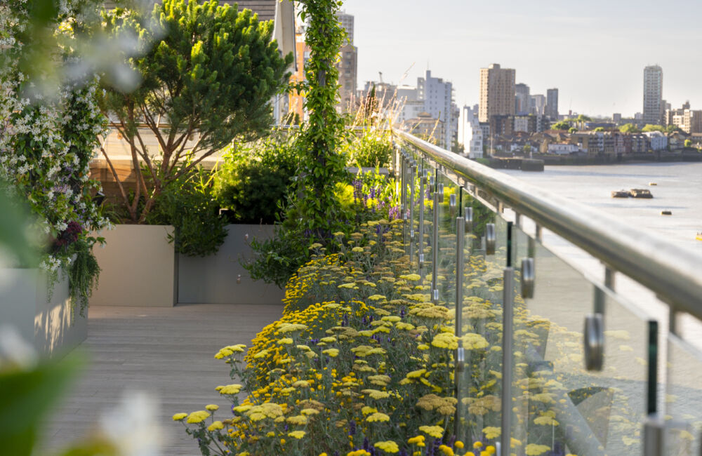 Skyline Sanctuary : A Rooftop Reimagined