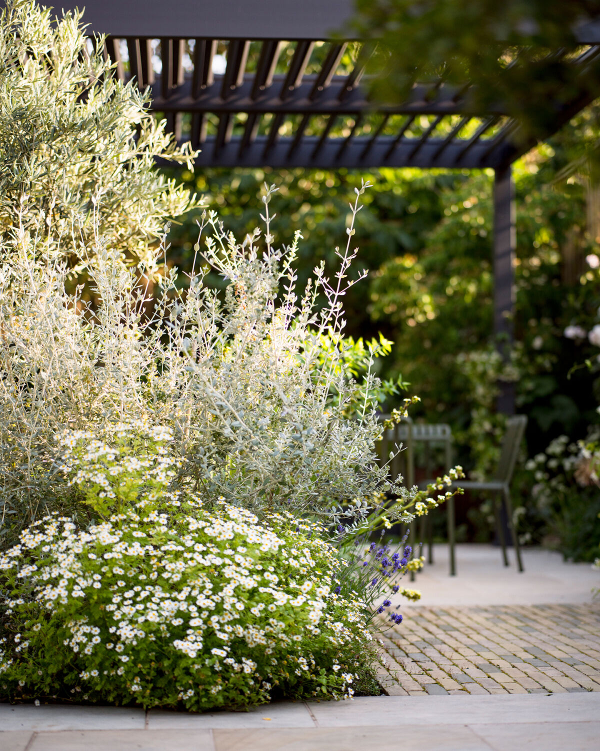a modern Mediterannean style garden design in London