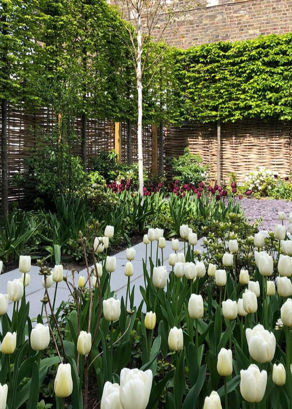 Bulbs: Picking the right ones for your garden.