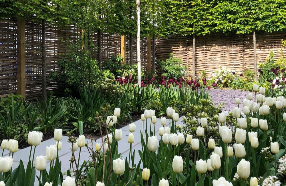 Bulbs: Picking the right ones for your garden.