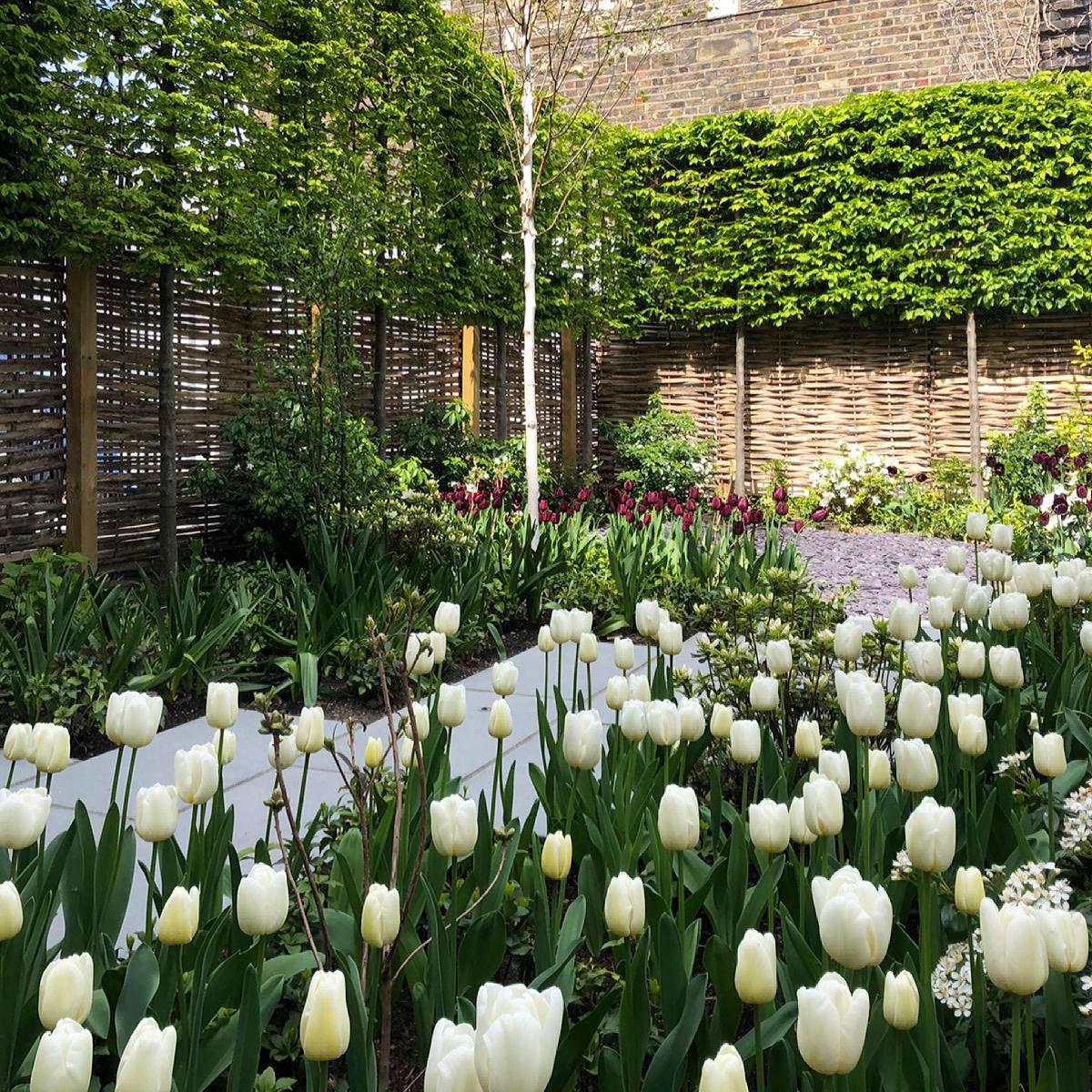 Bulbs: Picking the right ones for your garden.