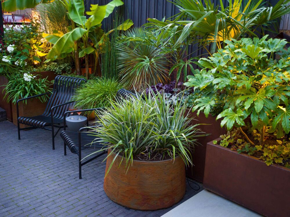 Corten planters with hackenachloa grasses